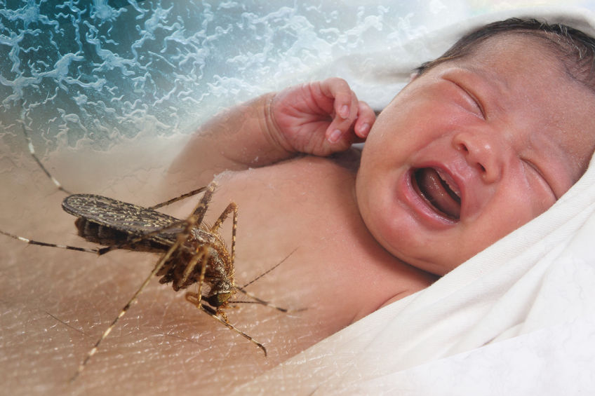 <b>一问医答| 为什么宝宝和孕妇更容易招蚊子？</b>