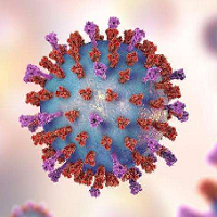 什么是新型冠状病毒？这种病毒为什么会流行？