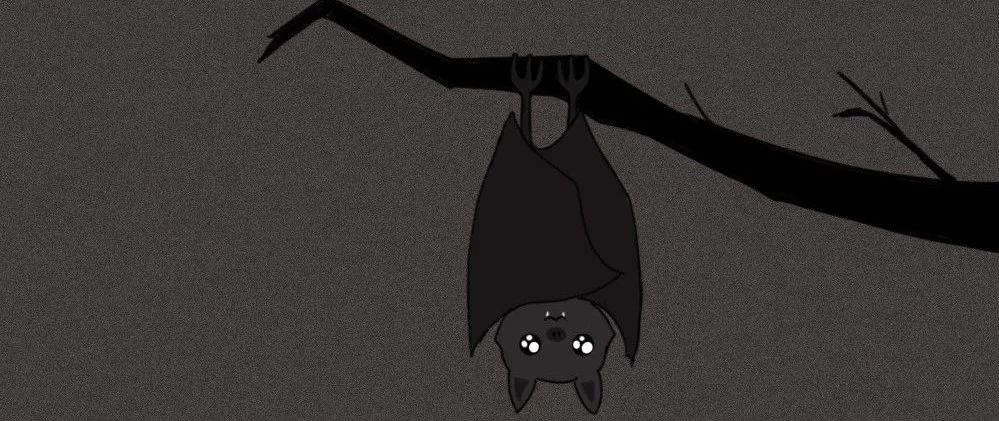 一只蝙蝠的自述在朋友圈火了：千万不要再吃野味了！