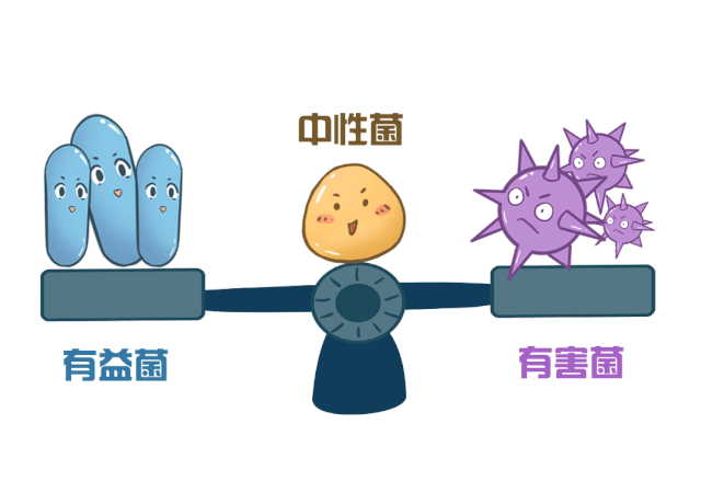<b>“荡气回肠”？益生元、益生菌、膳食纤维，没吃对</b>