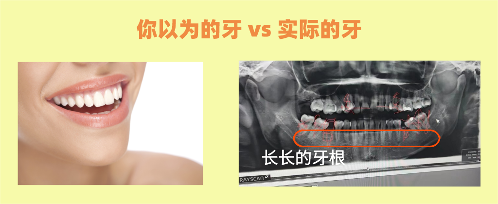 b76a6203-eebf-4f42-8d49-59ded2443d71.png