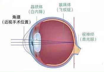微信图片_20230808145113.png