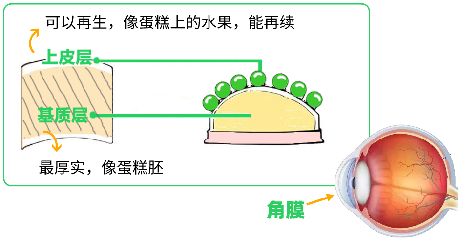 640 (7).png