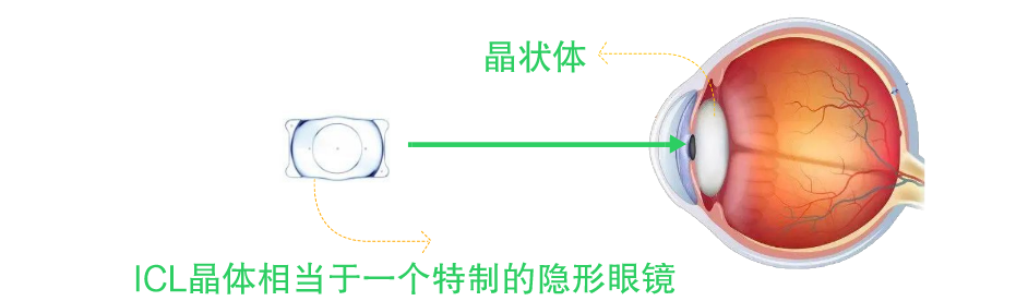 640 (4).png