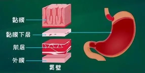 微信图片_20230803182835.jpg
