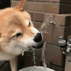 微信图片_20230907150937.gif