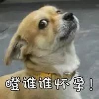 微信图片_20230915155355.jpg