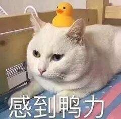 微信图片_20231016155230.jpg