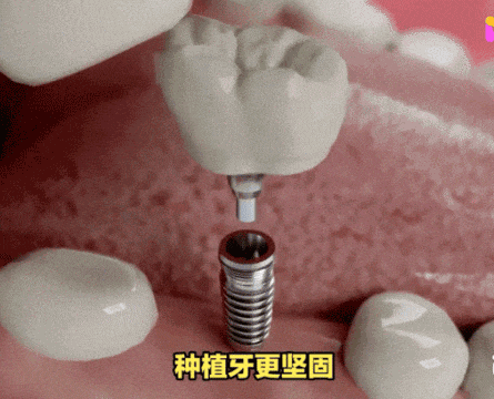 640 (2).gif
