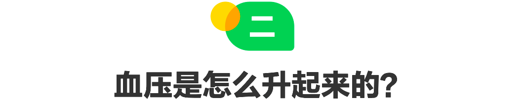 大标题02款 (1).png