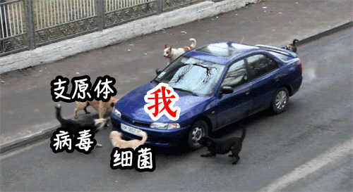 微信图片_20231218155405.gif