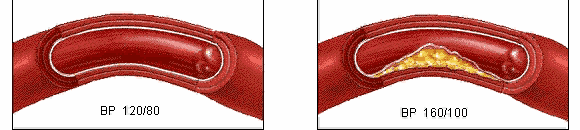 640 (2).gif