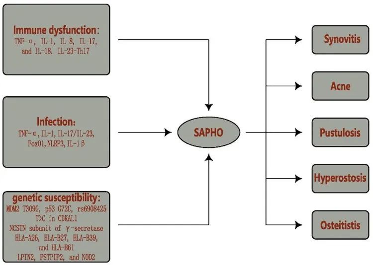 Sapho