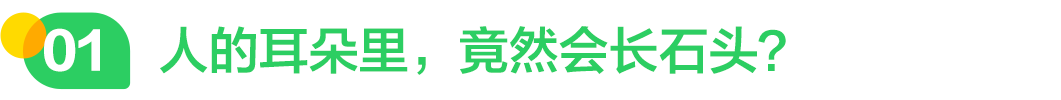 640 (1).png