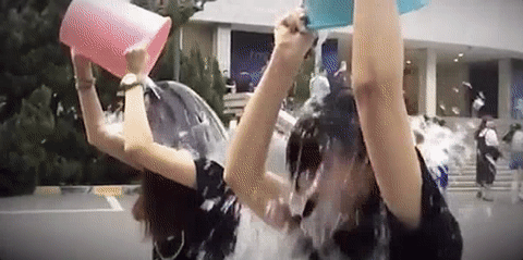 640.gif