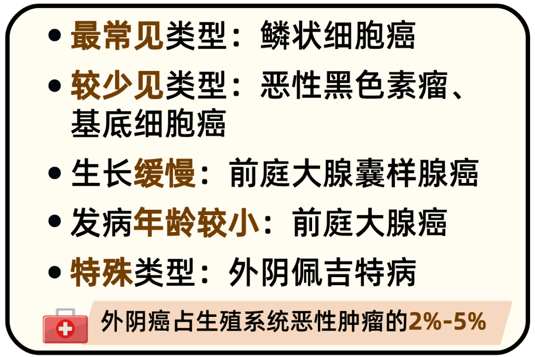 外阴癌__2025-02-13+15_29_45.png