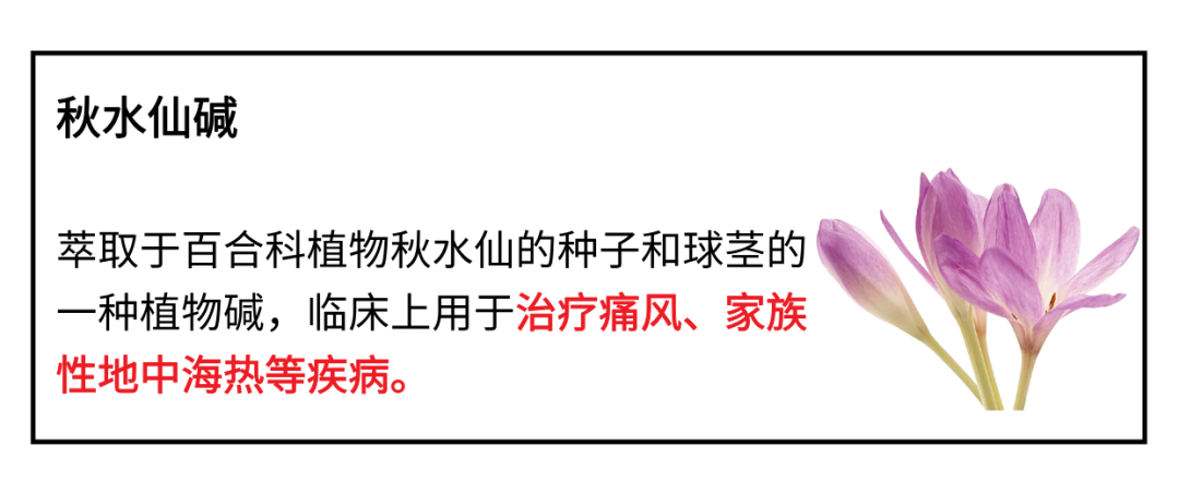 副本_副本_副本_副本_副本_副本_副本_副本_副本_副本_副本_副本_副本_副本_副本_副本_未命名__2025-04-09+16_38_45 - 副本.png