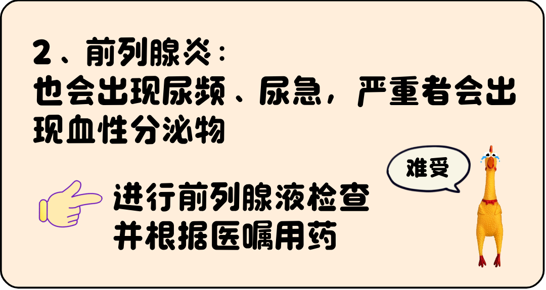 分泌物__2025-04-08+15_27_24.png