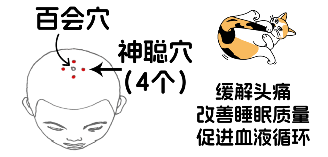 气血__2025-04-14+18_10_39.png
