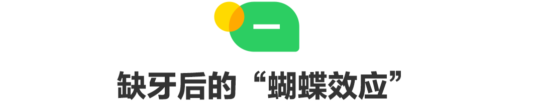 缺牙后的“蝴蝶效应”.png