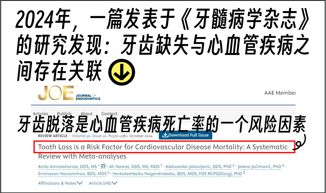 种牙5.12__2025-04-18+10_27_17.png