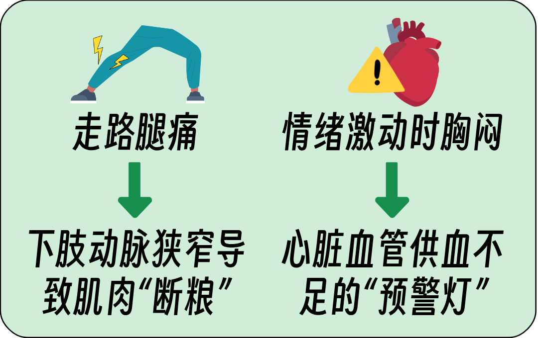 血管狭窄__2025-04-23+14_11_37.png