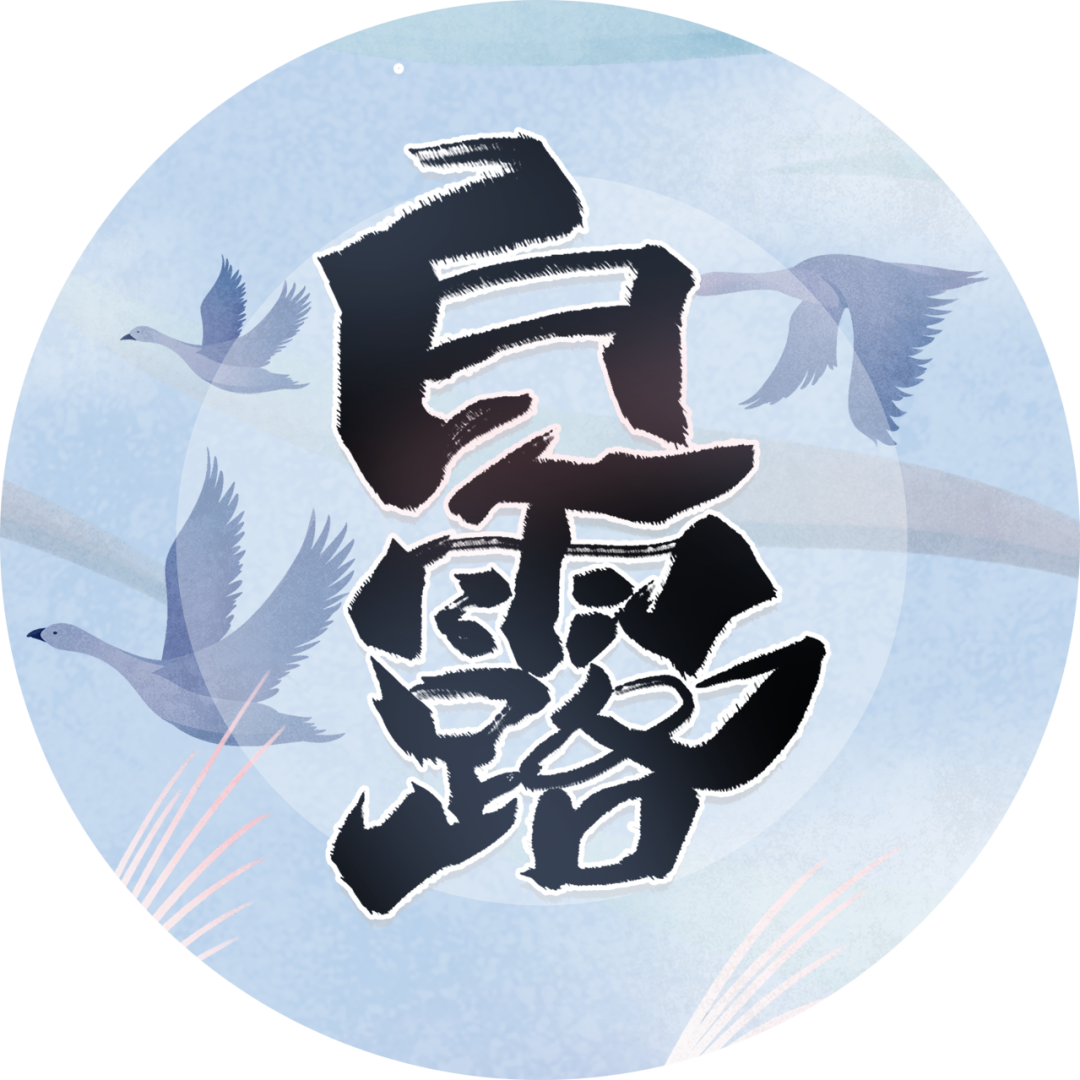 bailu.png