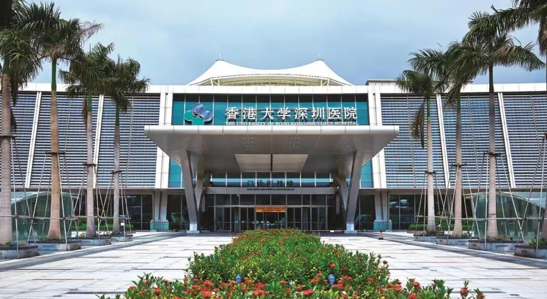 医院介绍-香港大学深圳医院