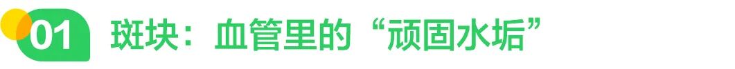 斑块：血管里的“顽固水垢”.jpg