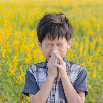 <b>清明出游防花粉过敏 学会5招就够用了</b>