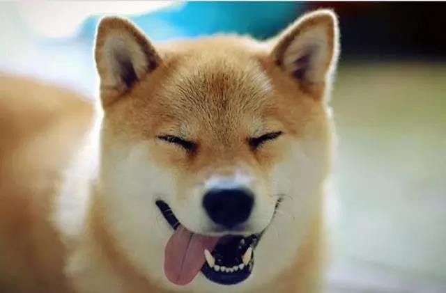 眯眼可以减小外界光线进入角膜的面积,眼睛就可以对光线的入射起到