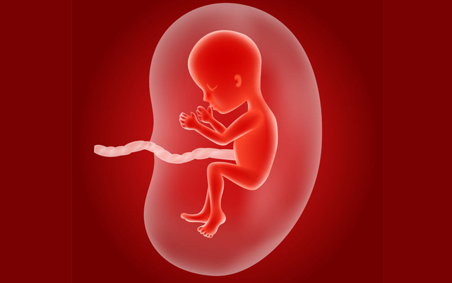 4,胎动过频3,脐带太长2,胎儿体型太小:子宫腔内活动空间大,胎儿翻滚